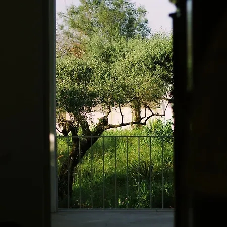 Casa Oliva - Casa Da Serra Apartment