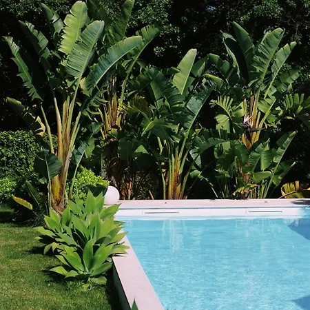 Casa Oliva - Casa Da Serra Apartamento