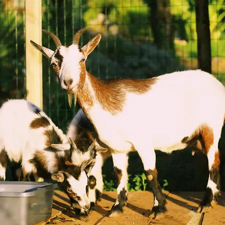 Apartamento Casa Oliva - Casa Da Serra *