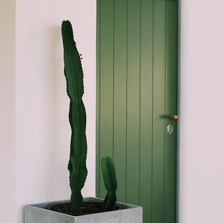 Apartamento Casa Oliva - Casa Da Serra *