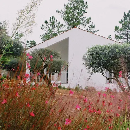 Casa Oliva - Casa Da Serra