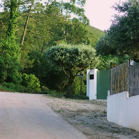 Casa Oliva - Casa Da Serra * Porto de Mós