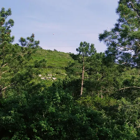 Casa Oliva - Casa Da Serra Apartamento Porto de Mós