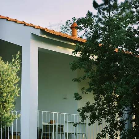 Apartamento Casa Oliva - Casa Da Serra Porto de Mós